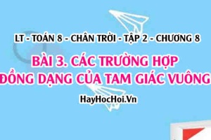 Các trường hợp đồng dạng của tam giác vuông? Toán 8 chân trời tập 2 chương 8 bài 3